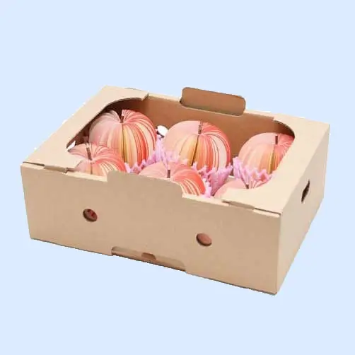 Rectangular Pomegranate Packaging Boxes